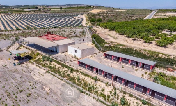 Resale - Finca Landgut -
Los Montesinos - LOS MONTESINOS