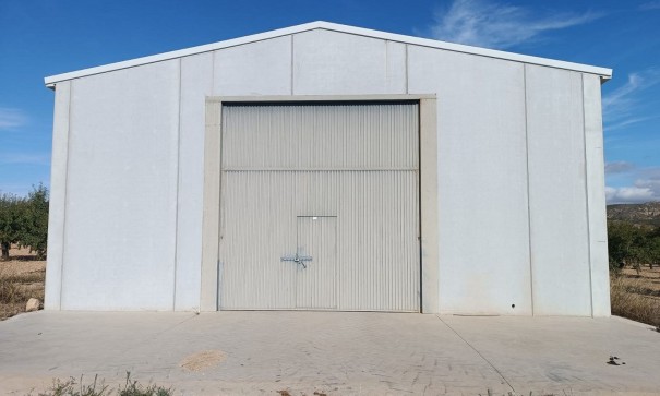 Sprzedaż - Działka Grunt -
Yecla