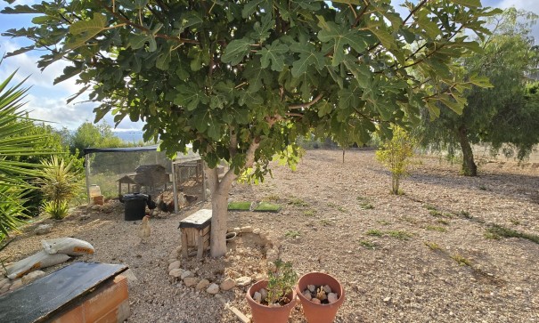 Revente - Villa Individuelle -
SAX