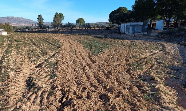 Resale - Finca Landgut -
Yecla