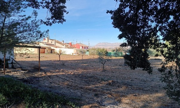 Resale - Finca Landgut -
Yecla