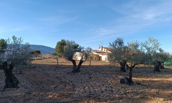 Resale - Finca Landgut -
Yecla