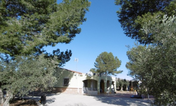 Venta - Chalet Independiente -
Yecla