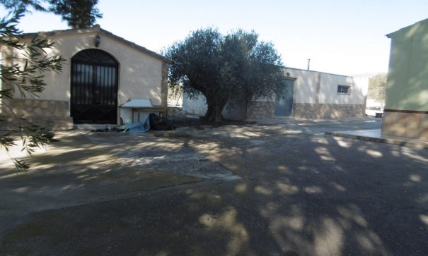 Venta - Chalet Independiente -
Yecla