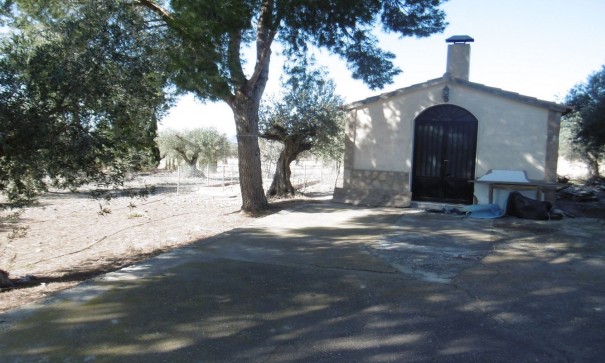 Venta - Chalet Independiente -
Yecla