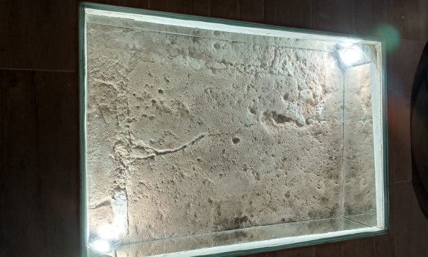 Videresalg - Finca landejendom -
Yecla