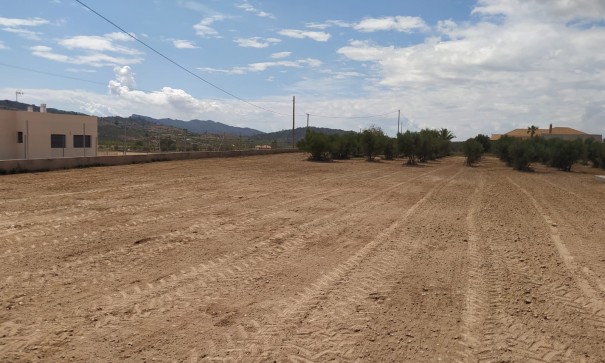 Revente - Villa Individuelle -
Macisvenda - Macisvenda Murcia