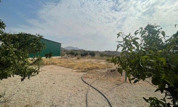 Venta - Finca Propiedad rural -
Abanilla