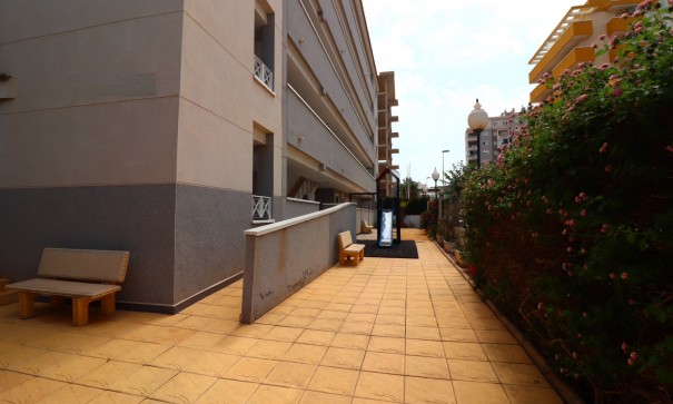 Sale - Apartment Flat -
Guardamar del Segura - Guardamar del Segura - Town