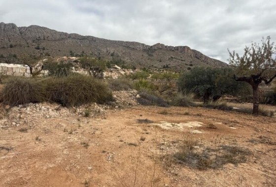 Herverkoop - Perceel Grond -
La Romana