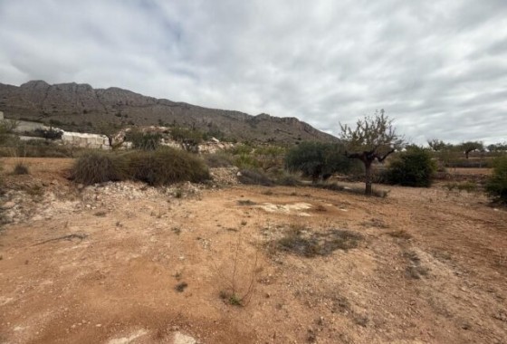 Herverkoop - Perceel Grond -
La Romana