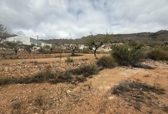 Herverkoop - Perceel Grond -
La Romana