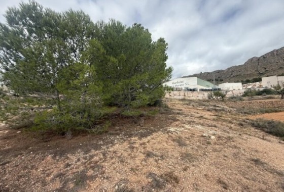 Herverkoop - Perceel Grond -
La Romana