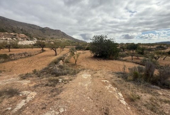 Herverkoop - Perceel Grond -
La Romana