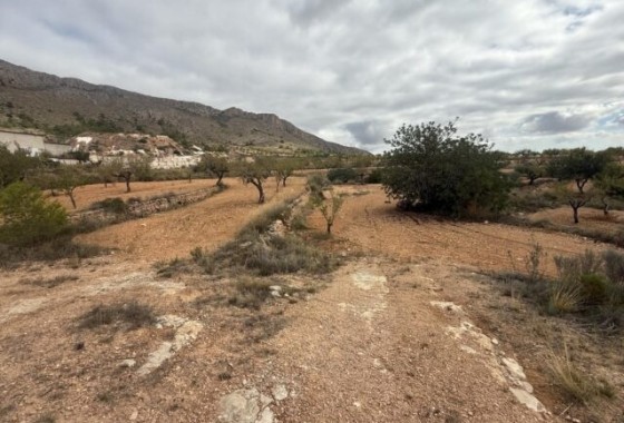 Herverkoop - Perceel Grond -
La Romana