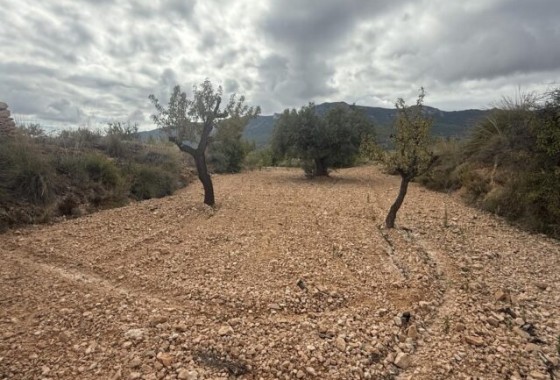 Herverkoop - Perceel Grond -
La Romana