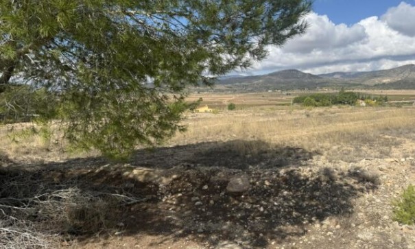 Videresalg - Grund Jord -
Monóvar