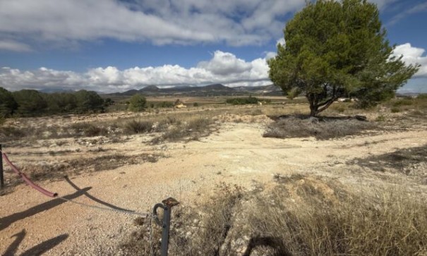 Videresalg - Grund Jord -
Monóvar