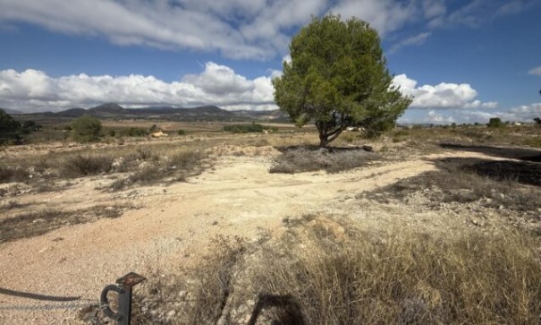 Videresalg - Grund Jord -
Monóvar