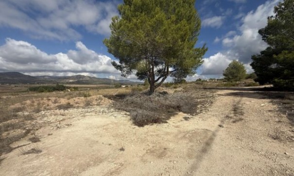 Videresalg - Grund Jord -
Monóvar