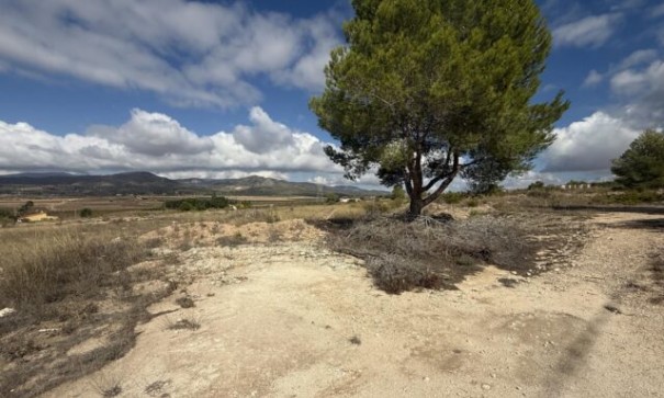 Videresalg - Grund Jord -
Monóvar