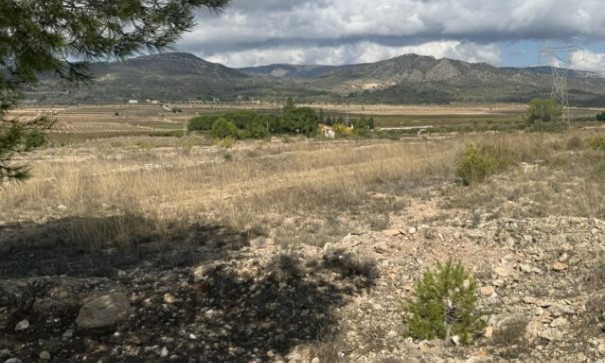 Videresalg - Grund Jord -
Monóvar