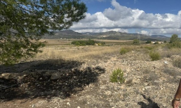 Videresalg - Grund Jord -
Monóvar