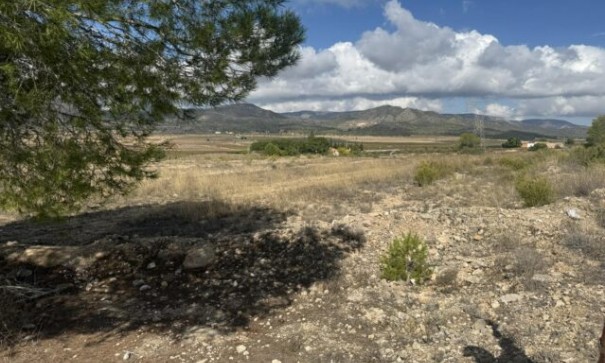 Videresalg - Grund Jord -
Monóvar