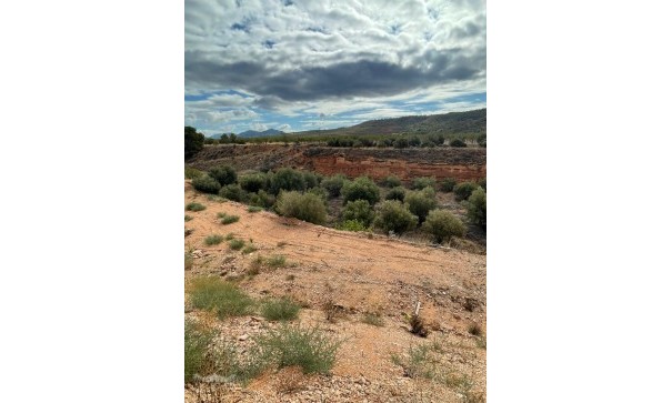 Venta - Chalet Independiente -
Macisvenda - Macisvenda Murcia