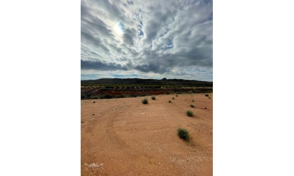 Venta - Chalet Independiente -
Macisvenda - Macisvenda Murcia