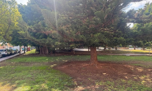 Herverkoop - Apartement Flat -
Torrevieja - Playa del Acequión