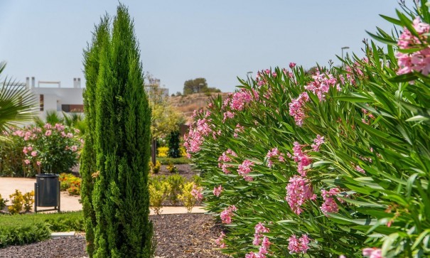 New Build - Apartment Flat -
Orihuela - Vistabella Golf