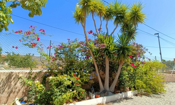 Videresalg - Fritliggende villa -
Abanilla