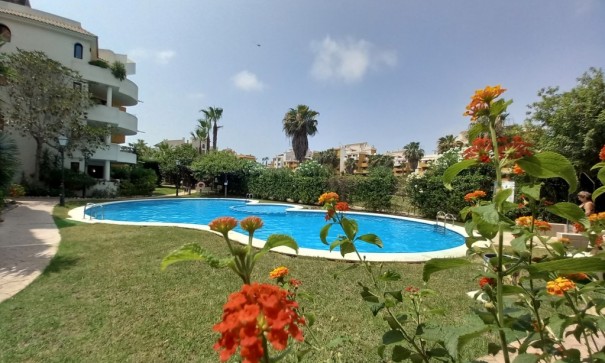 Sale - Apartment Flat -
Punta Prima