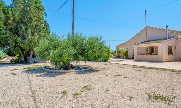 Återförsäljning - Finca lantlig egendom -
Elche - Elche/Elx