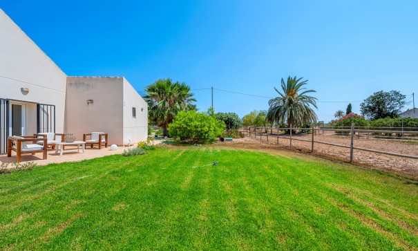 Återförsäljning - Finca lantlig egendom -
Elche - Elche/Elx