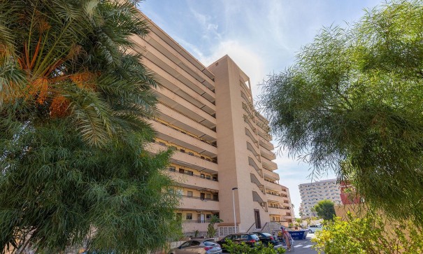 Revente - Appartement -
Torrevieja - La Mata