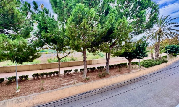 Sale - Apartment Flat -
Formentera del Segura - Formentera de Segura