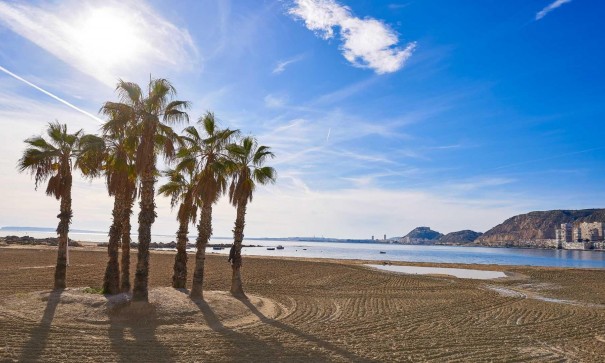 New Build - Detached Villa -
Els Poblets - Partida Barranquets