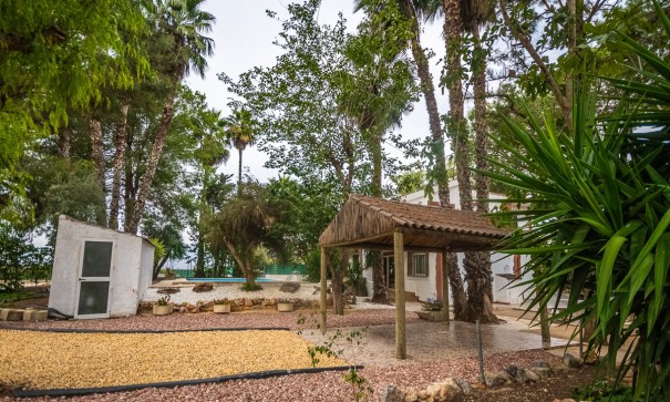 Revente - Maison de ville -
Orihuela