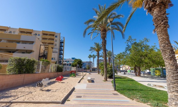 Sale - Apartment Flat -
Torrevieja - Estacion de autobuses