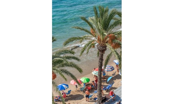 Resale - Wohnung Appartement -
Torrevieja