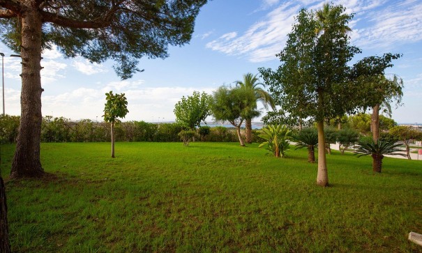 Sale - Apartment Flat -
Torrevieja - Torreblanca