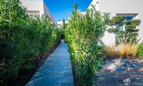 Sale - Detached Villa -
Algorfa - LA FINCA GOLF / ALGORFA