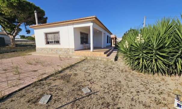 Sale - Finca Country Property -
Guardamar del Segura - Buenavista