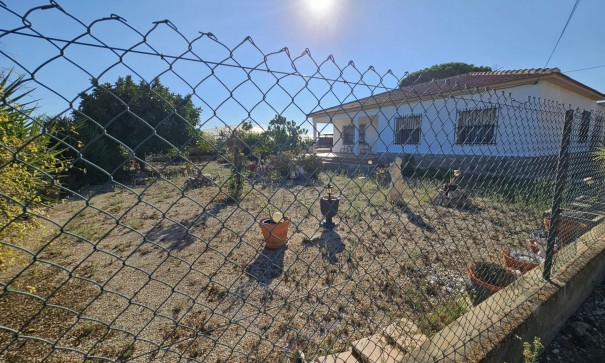 Sale - Finca Country Property -
Guardamar del Segura - Buenavista