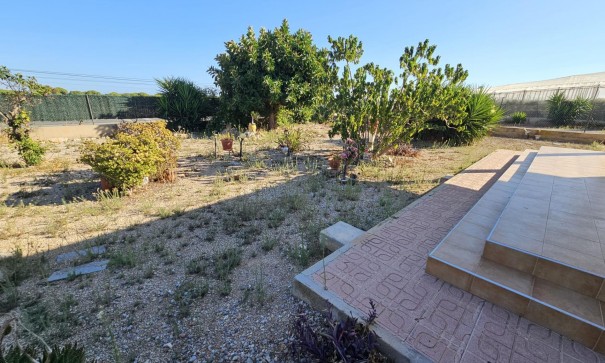 Sale - Finca Country Property -
Guardamar del Segura - Buenavista