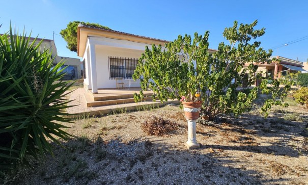 Sale - Finca Country Property -
Guardamar del Segura - Buenavista