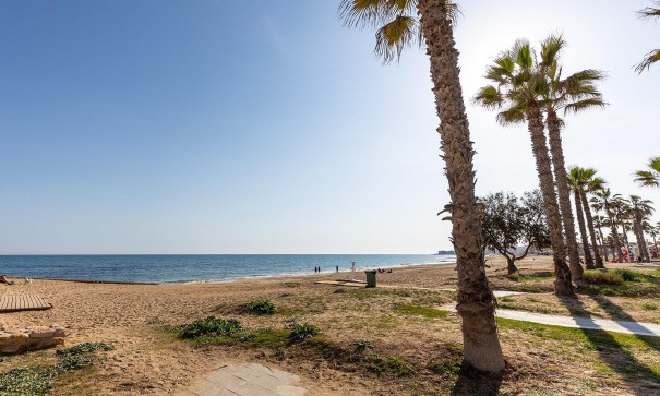 Sale - Apartment Flat -
Torrevieja - La Mata
