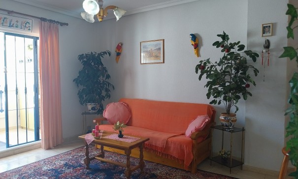 Sale - Apartment Flat -
La Mata